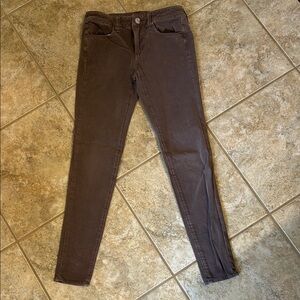 American Eagle Outfitters Taupe Knit Jeggings 4 X-Long